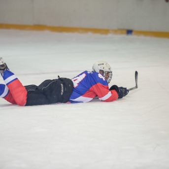 Dancis vs Vektors - hokeja draudzības spēle - Foto Mārcis Gaujenietis
