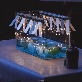 Danča zemūdens valstības balle - Fotogrāfs Oskars Valtenbergs