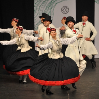 XXVII Vispārējie latviešu Dziesmu un XVII Deju svētku deju kolektīvu konkurss - Fotogrāfe- Aloiza Meldere