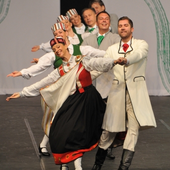 XXVII Vispārējie latviešu Dziesmu un XVII Deju svētku deju kolektīvu konkurss - Fotogrāfe- Aloiza Meldere