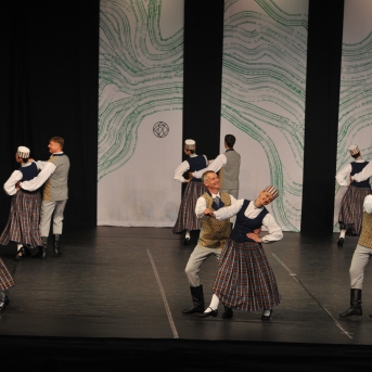 XXVII Vispārējie latviešu Dziesmu un XVII Deju svētku deju kolektīvu konkurss - Fotogrāfe- Aloiza Meldere