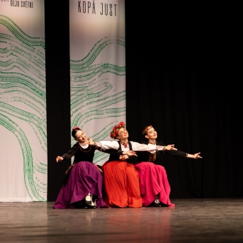 XXVII Vispārējie latviešu Dziesmu un XVII Deju svētku deju kolektīvu konkurss - Fotogrāfe- Aloiza Meldere