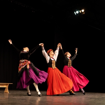 XXVII Vispārējie latviešu Dziesmu un XVII Deju svētku deju kolektīvu konkurss - Fotogrāfe- Aloiza Meldere