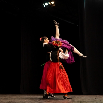 XXVII Vispārējie latviešu Dziesmu un XVII Deju svētku deju kolektīvu konkurss - Fotogrāfe- Aloiza Meldere