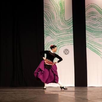 XXVII Vispārējie latviešu Dziesmu un XVII Deju svētku deju kolektīvu konkurss - Fotogrāfe- Aloiza Meldere