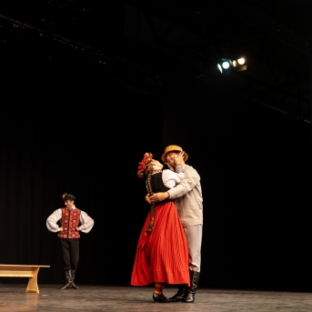 XXVII Vispārējie latviešu Dziesmu un XVII Deju svētku deju kolektīvu konkurss - Fotogrāfe- Aloiza Meldere