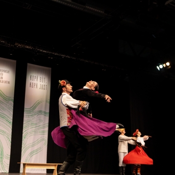 XXVII Vispārējie latviešu Dziesmu un XVII Deju svētku deju kolektīvu konkurss - Fotogrāfe- Aloiza Meldere