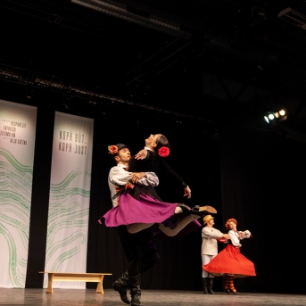 XXVII Vispārējie latviešu Dziesmu un XVII Deju svētku deju kolektīvu konkurss - Fotogrāfe- Aloiza Meldere