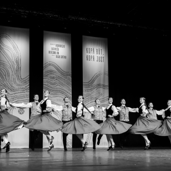 XXVII Vispārējie latviešu Dziesmu un XVII Deju svētku deju kolektīvu konkurss - Fotogrāfe- Aloiza Meldere