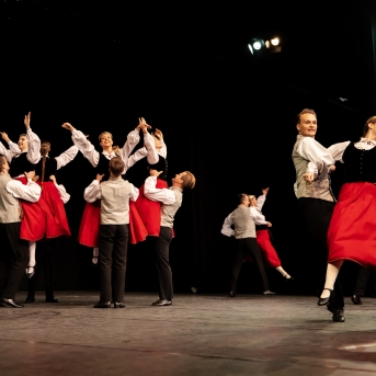 XXVII Vispārējie latviešu Dziesmu un XVII Deju svētku deju kolektīvu konkurss - Fotogrāfe- Aloiza Meldere