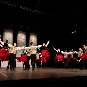 XXVII Vispārējie latviešu Dziesmu un XVII Deju svētku deju kolektīvu konkurss - Fotogrāfe- Aloiza Meldere
