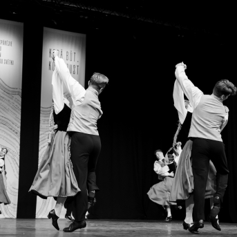 XXVII Vispārējie latviešu Dziesmu un XVII Deju svētku deju kolektīvu konkurss - Fotogrāfe- Aloiza Meldere