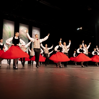 XXVII Vispārējie latviešu Dziesmu un XVII Deju svētku deju kolektīvu konkurss - Fotogrāfe- Aloiza Meldere