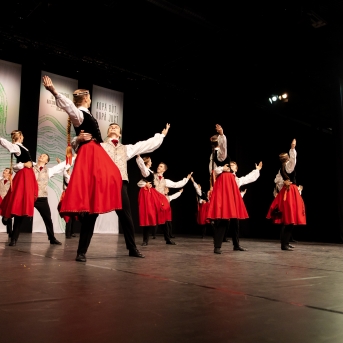 XXVII Vispārējie latviešu Dziesmu un XVII Deju svētku deju kolektīvu konkurss - Fotogrāfe- Aloiza Meldere