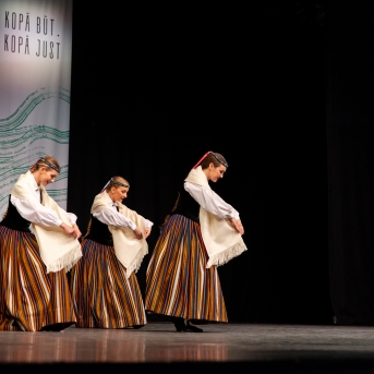 XXVII Vispārējie latviešu Dziesmu un XVII Deju svētku deju kolektīvu konkurss - Fotogrāfe- Aloiza Meldere