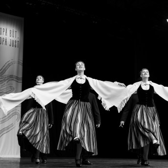 XXVII Vispārējie latviešu Dziesmu un XVII Deju svētku deju kolektīvu konkurss - Fotogrāfe- Aloiza Meldere