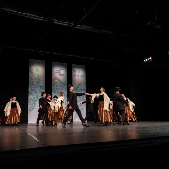 XXVII Vispārējie latviešu Dziesmu un XVII Deju svētku deju kolektīvu konkurss - Fotogrāfe- Aloiza Meldere