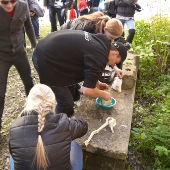 Greizais kompass 2013 - 