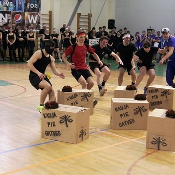 Kauja pie Gatves 2014 - 