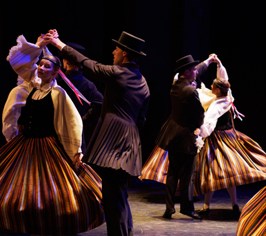 XVII Baltijas valstu Studentu Dziesmu un deju svētki „Gaudeamus”. - Foto Jurģis Rikveilis un palīgi