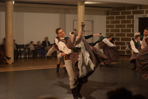 Mātes dienai veltīts koncerts 