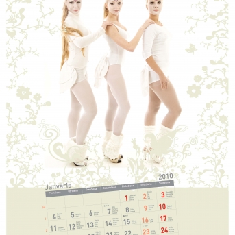 Kalendārs 2010 - 