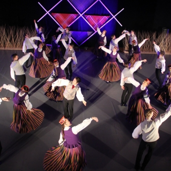 „Jādejo, lai būtu prieks“ Carnikavā - 