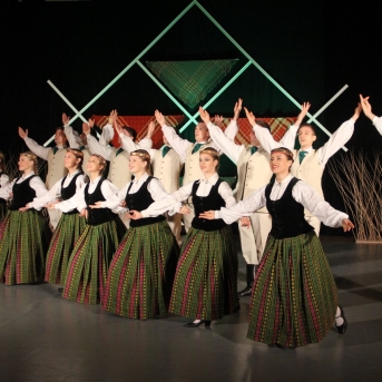 „Jādejo, lai būtu prieks“ Carnikavā - 