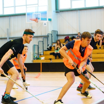 Danča kauss zāles hokejā 2018 - Foto Juģis Rikveilis