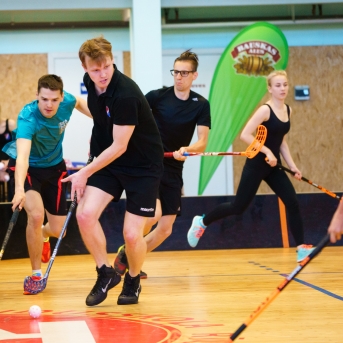 Danča kauss zāles hokejā 2018 - Foto Juģis Rikveilis