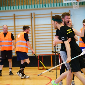 Danča kauss zāles hokejā 2018 - Foto Juģis Rikveilis