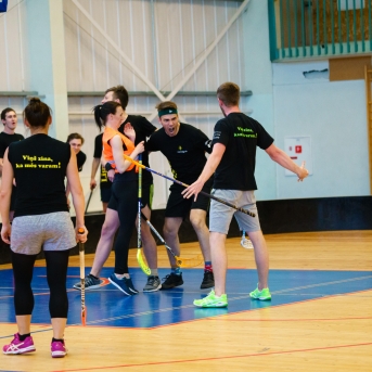 Danča kauss zāles hokejā 2018 - Foto Juģis Rikveilis