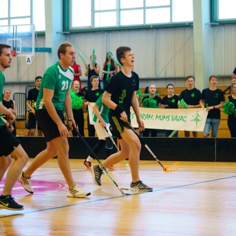 Danča kauss zāles hokejā 2018 - Foto Juģis Rikveilis