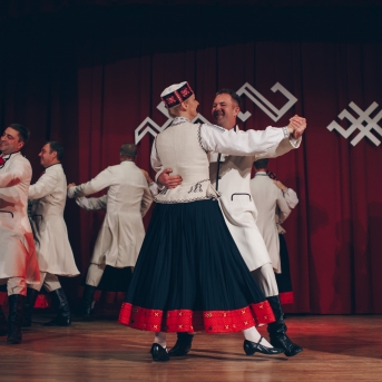 Dancis ciemos pie VPDK 