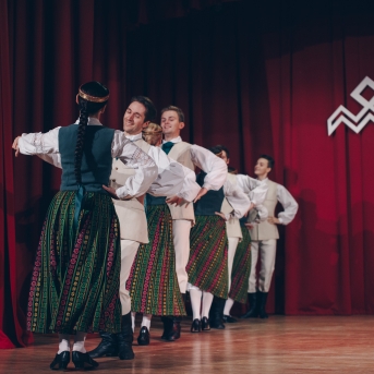 Dancis ciemos pie VPDK 