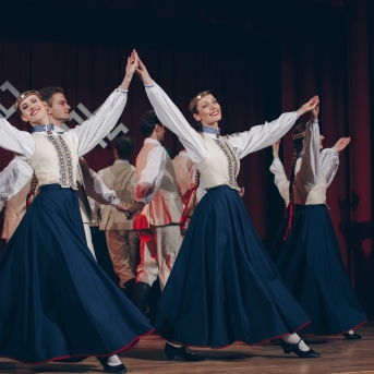 Dancis ciemos pie VPDK 