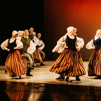 Starptautiskajai dejas dienai veltīts koncerts - Foto Anna Zvejniece