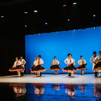 Starptautiskajai dejas dienai veltīts koncerts - Foto Anna Zvejniece