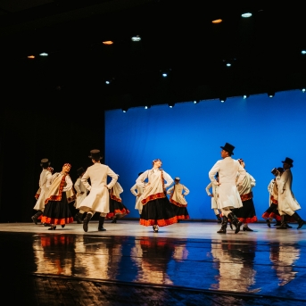 Starptautiskajai dejas dienai veltīts koncerts - Foto Anna Zvejniece