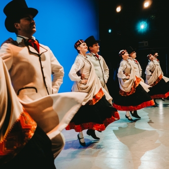 Starptautiskajai dejas dienai veltīts koncerts - Foto Anna Zvejniece