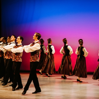 Starptautiskajai dejas dienai veltīts koncerts - Foto Anna Zvejniece