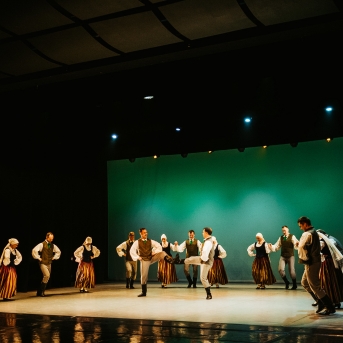 Starptautiskajai dejas dienai veltīts koncerts - Foto Anna Zvejniece