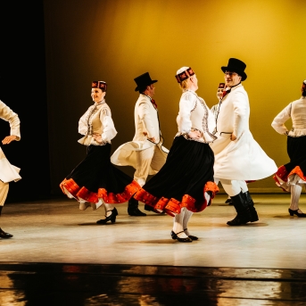 Starptautiskajai dejas dienai veltīts koncerts - Foto Anna Zvejniece