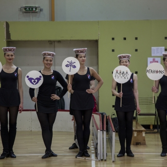 Danča kauss zāles hokejā - Foto Jete Puriņa & Oskars Valtenbers